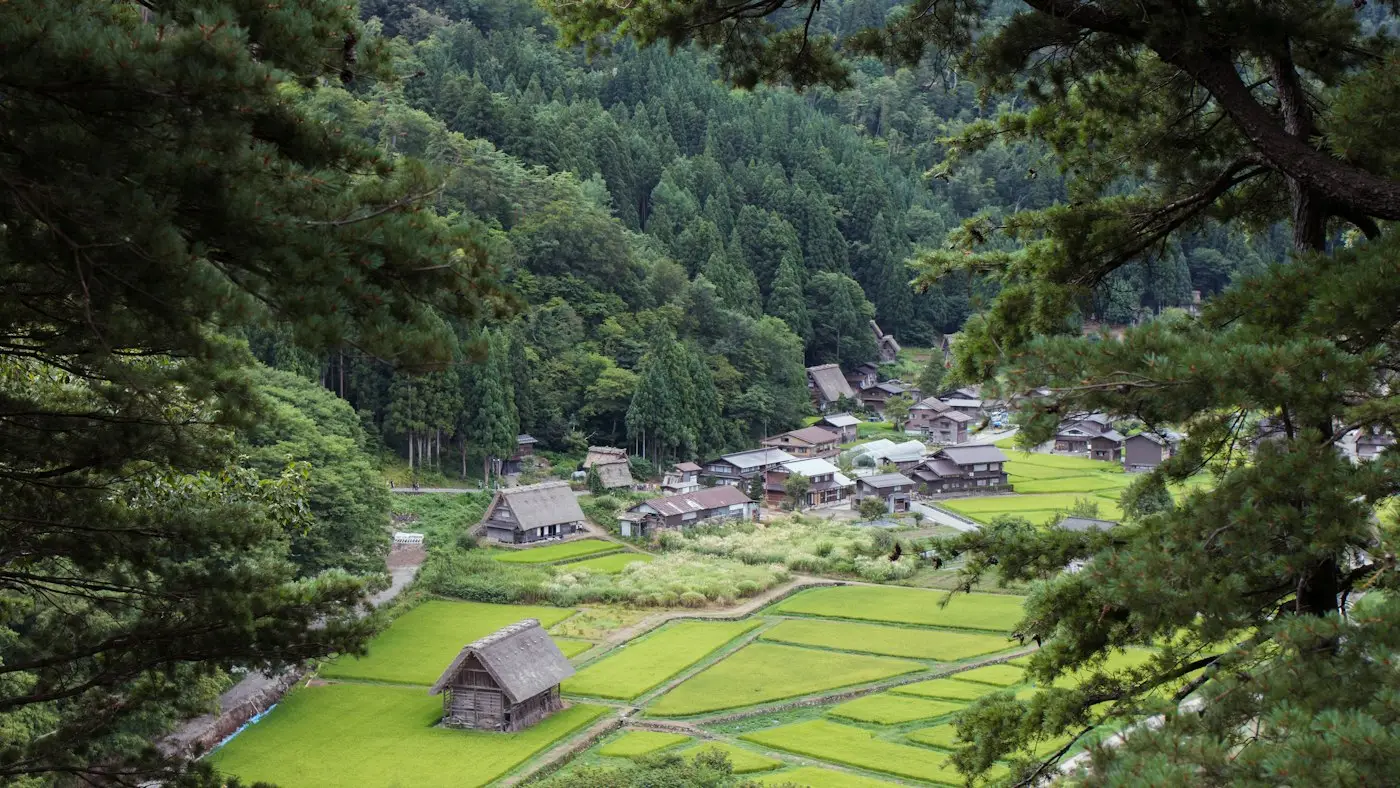 Un village et ses rizières au creux d'une vallée verdoyante