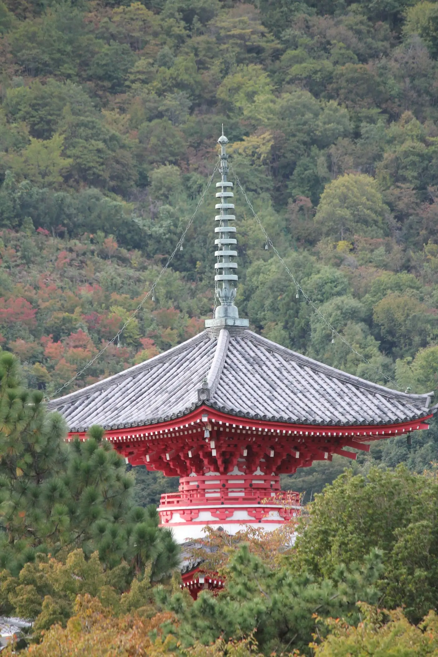 Le toit d'une pagode au milieu des arbres du Daikaku-ji
