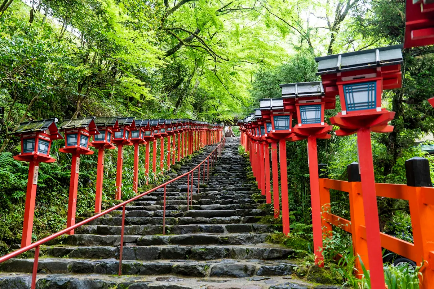 L'escalier de pierre bordé de lanternes rouges du sanctuaire Kifune