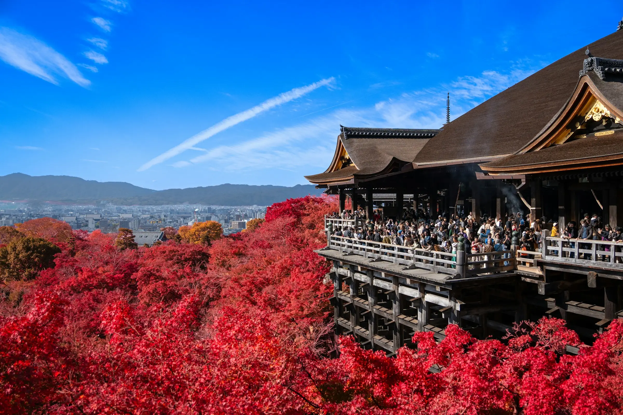 Le temple Kiyomizu-dera au milieu d'érables rouges, à Kyoto