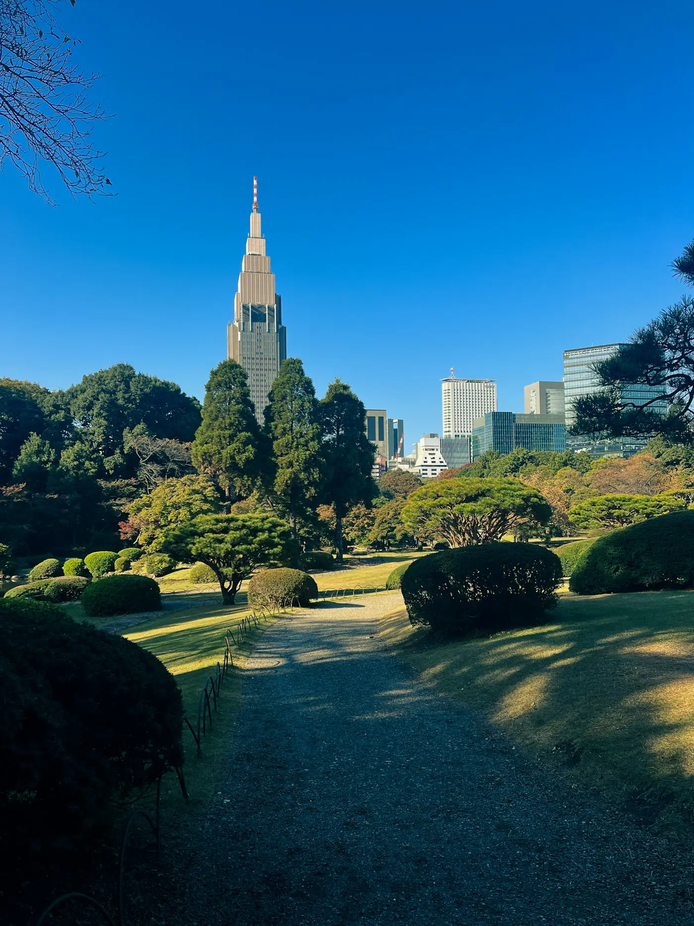 Les pelouses et les arbres taillés de Shinjuku Gyoen, devant les tours de Shinjuku