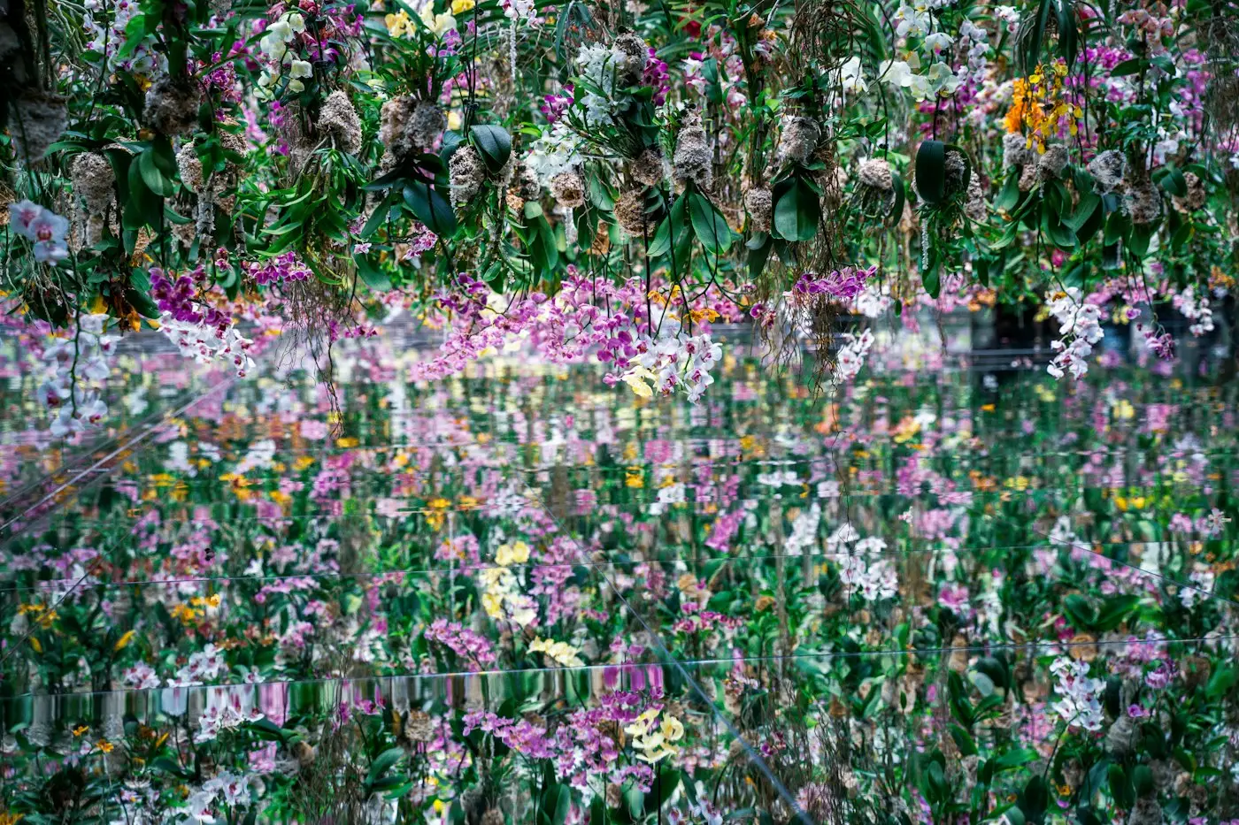 Un jardin de fleurs suspendues à teamLab Planets