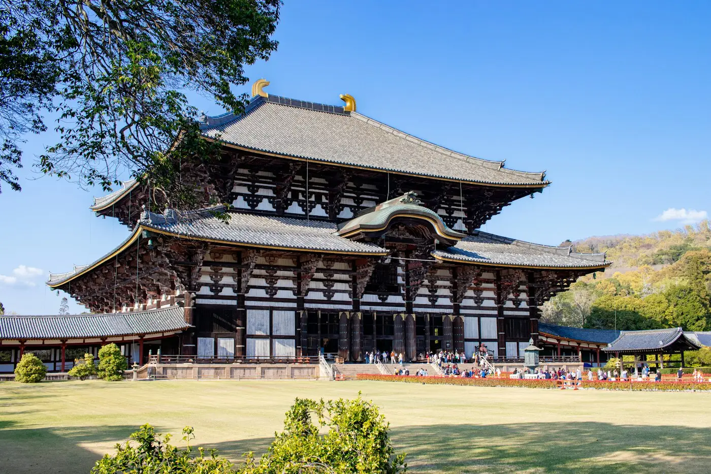 Le grand pavillon de bois du Tōdai-ji sous un ciel bleu