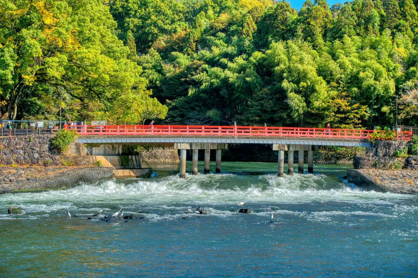 Un pont vermillon au-dessus de la rivière Uji, dans la verdure