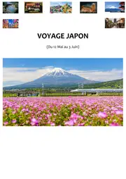 Couverture du carnet PDF « Voyage Japon »