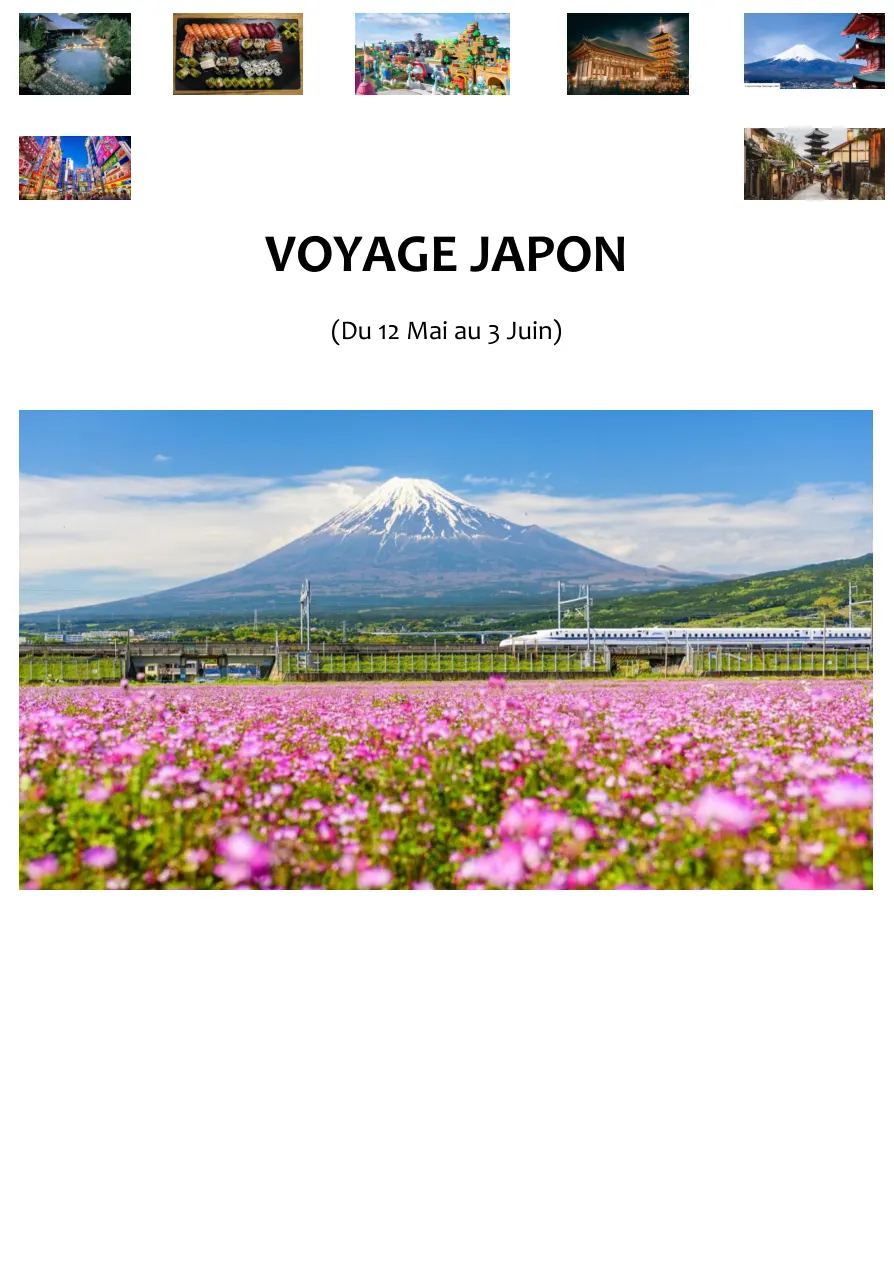 Couverture du carnet PDF « Voyage Japon »